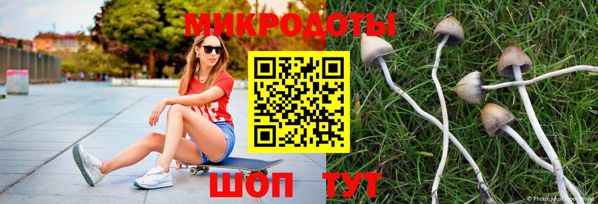 Галлюциногенные грибы ЛСД  Вход с VPN  Петровск 